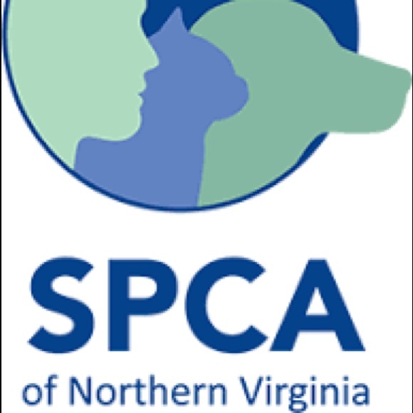 Meet your Posher, Julie - Picture 2 of 3